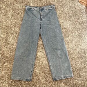 Madewell Emmett Wide Leg Jeans Sz 28
